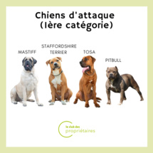 adhérer au club adhérer au club