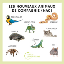 adhérer au club adhérer au club