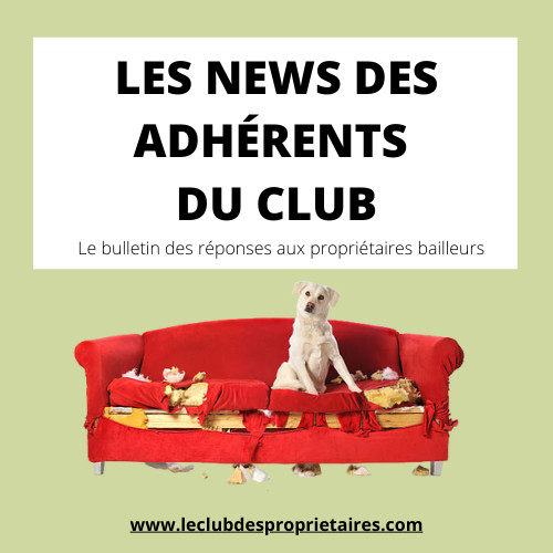Pouvez-vous refuser les animaux dans votre bail ? Pouvez-vous refuser les animaux dans votre bail ?