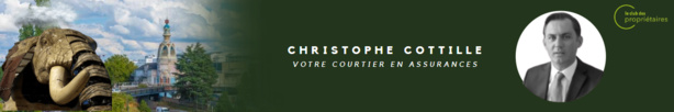 Quels sont les 5 principaux litiges auxquels vous vous exposez en tant que propriétaire bailleur ? Quels sont les 5 principaux litiges auxquels vous vous exposez en tant que propriétaire bailleur ?